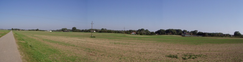 Oberes Feld im Jahr 2006