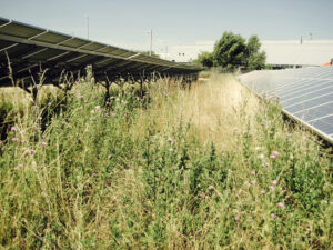 PV ANLAGE HEIZKRAFTWERK SÜD